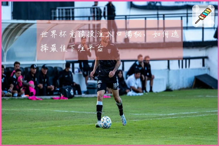 世界杯竞猜投注入口揭秘，如何选择最佳下注平台