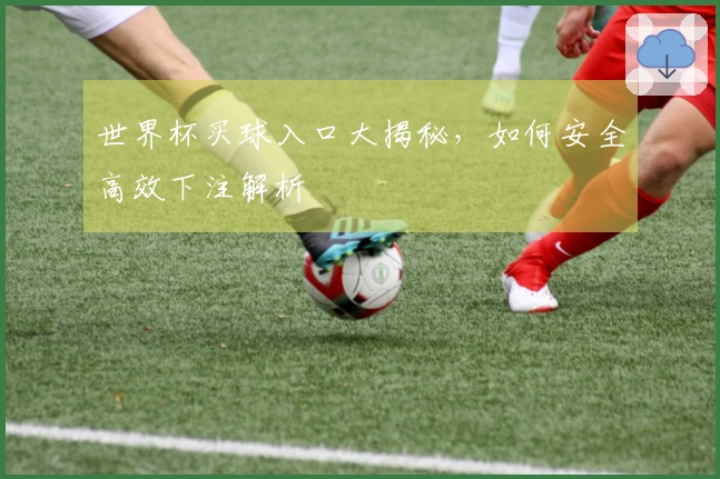 世界杯买球入口大揭秘，如何安全高效下注解析