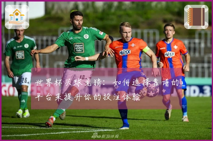 世界杯买球竞猜：如何选择靠谱的平台来提升你的投注体验