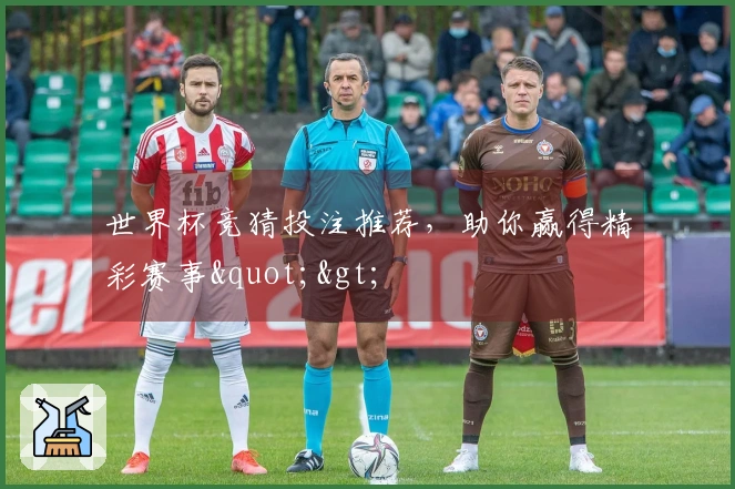 世界杯竞猜投注推荐，助你赢得精彩赛事">