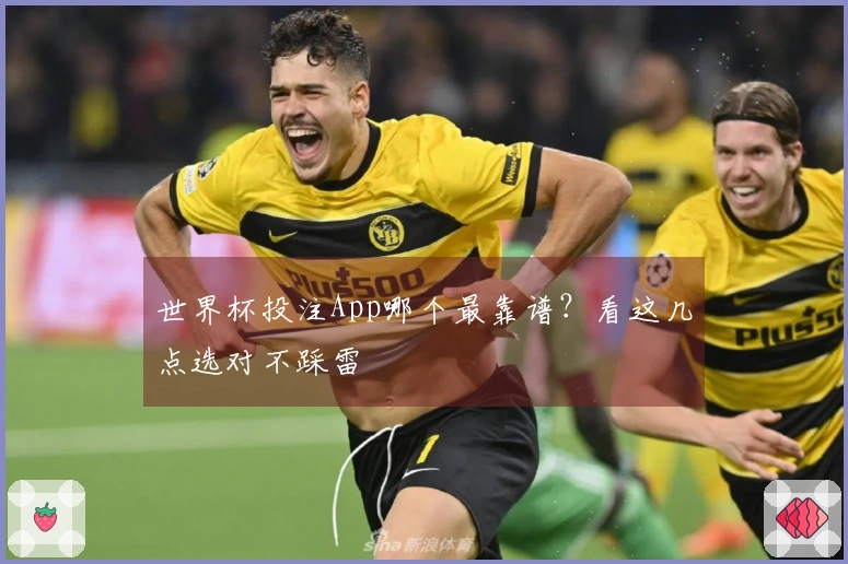 世界杯投注App哪个最靠谱？看这几点选对不踩雷