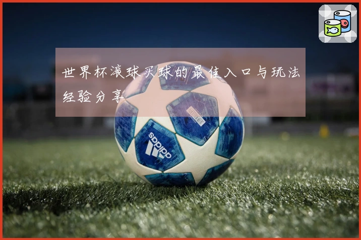 世界杯滚球买球的最佳入口与玩法经验分享