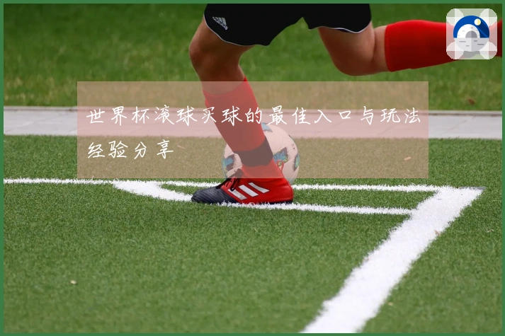世界杯滚球买球的最佳入口与玩法经验分享
